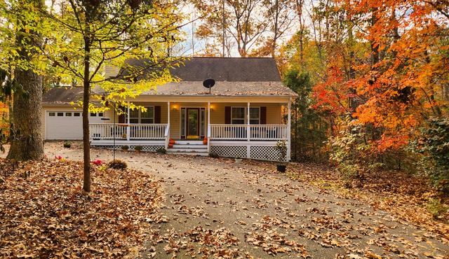 Cottage on Lake Hartwell! Cozy fireplace, wooded trail to dock, & dog friendly!