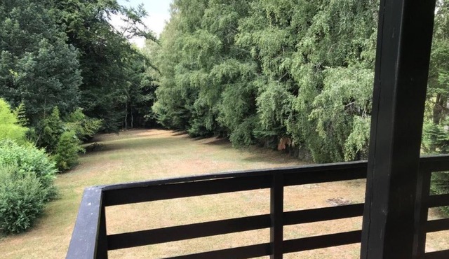 Cottage on the edge of the wood