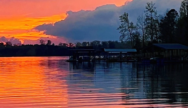 Cottage on the Lake! Cozy, Lakefront, 4BR house near Atlanta @ Allatoona Lake