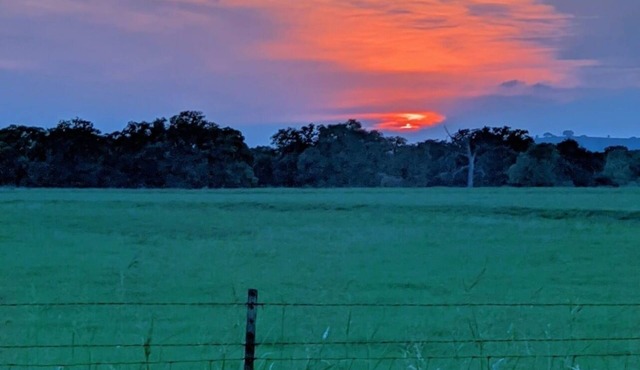 Cottage on the Ranch close ATX, Circuit of the Americas, Bastrop. Pet friendly!