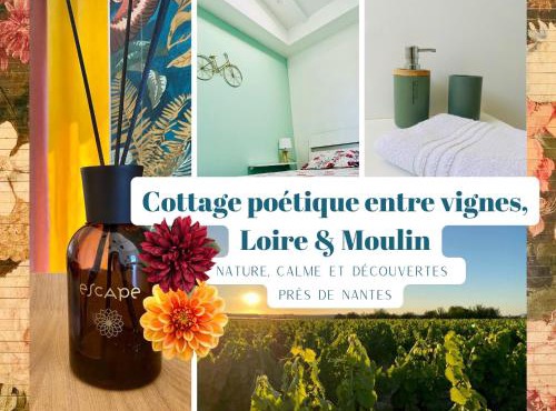 Cottage poétique entre vignes, Loire et moulin