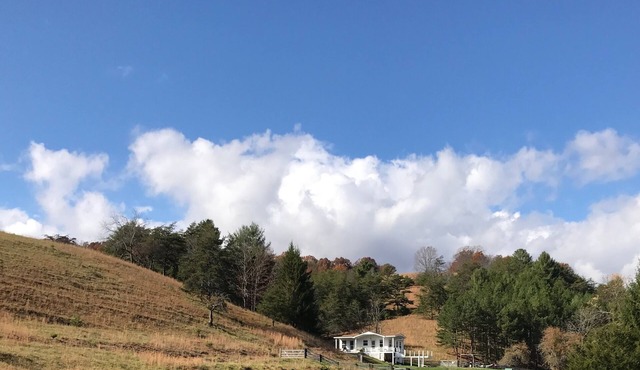 Cottage, Pool, 300 Acres of Blue Ridge Mountains.