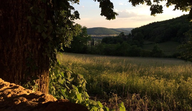 Cottage rental Les tilleuls stone house in Perigord Noir Sarlat