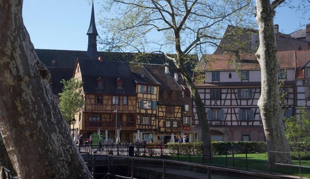 Cottage rental "with birds" small cottage very flowery