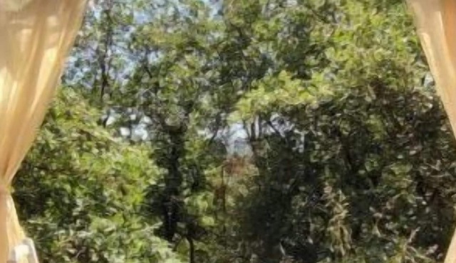 Cottage Romantique, son Jacuzzi Privatif, Piscine