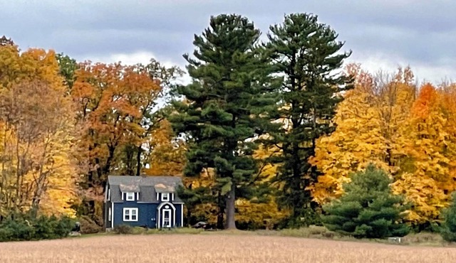 Cottage- Shell Lake on Little Long Lake