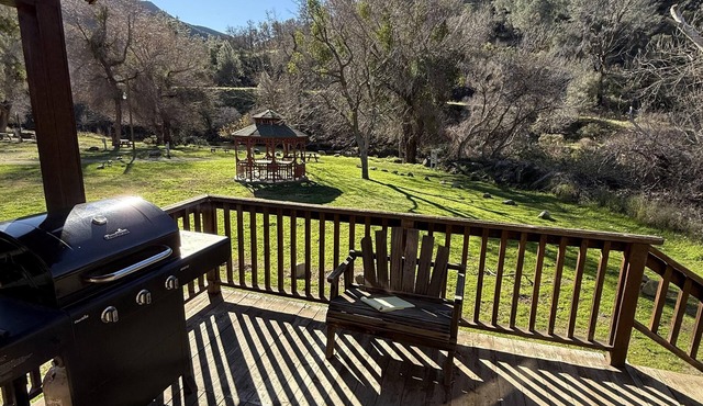 Cottage, Sleeps 6, Wheelchair & Pet Friendly - Roomy Cottage with Kitchen, Sleeps 6, Wheelchair & Pet Friendly