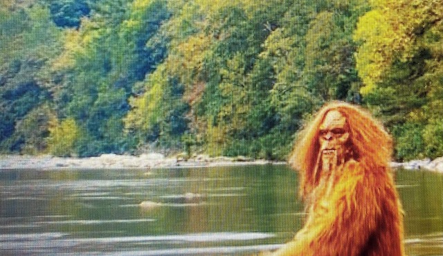 Cottage style cabin, pet friendly, on 4 wooded acres. Sleeps 6-12 people.