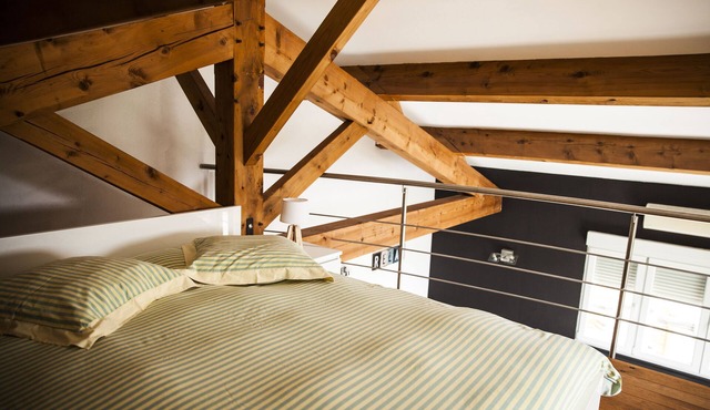 Cottage "Syrah" Domaine de Cazaban - view of the vineyards