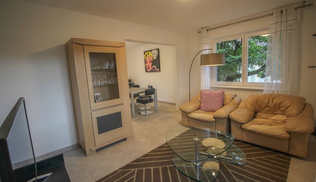 Cottage "The banks of the ILL