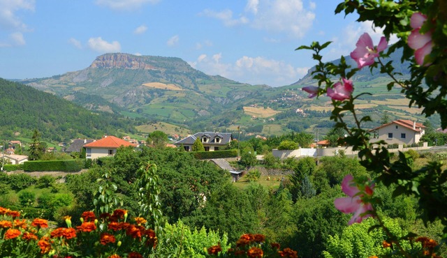 Cottage "The flowers of Mary"