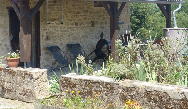 Cottage: the murmurs of the oaks (2 stars ⭐️)