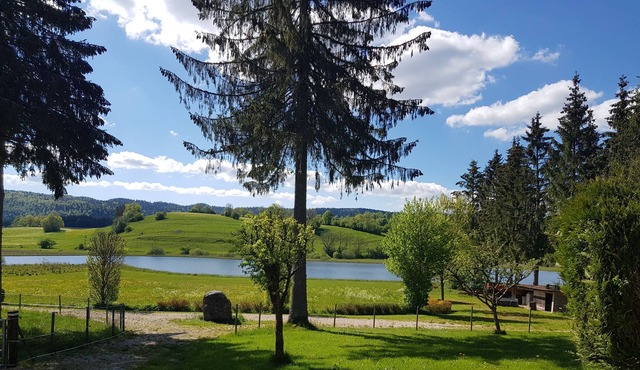 Cottage The Lake in La Dame ***