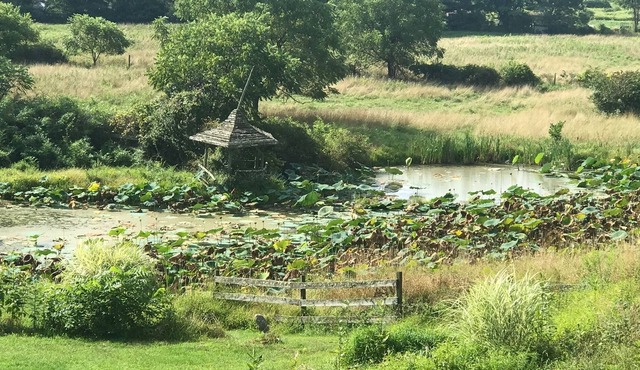 Cottage totally upgraded on 53 acre historic farm