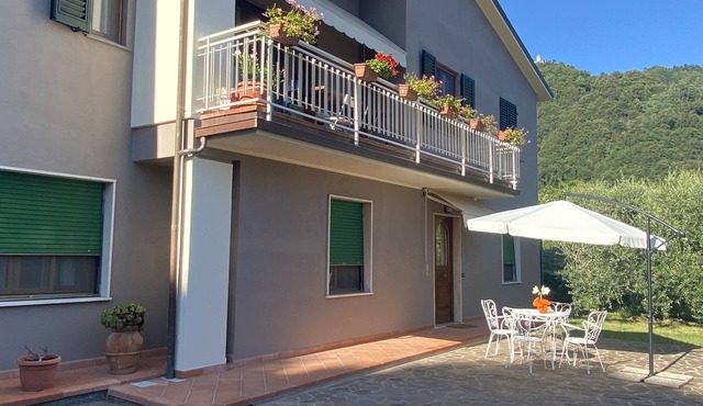 "COTTAGE ULIVO" Codice Identificativo: 046017LTN2254 in Lucca