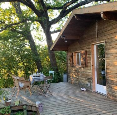 Cottage under the oak tree