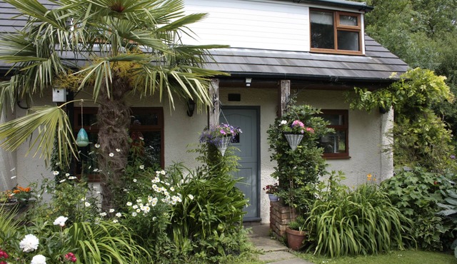 Cottage with beautiful views - Dog friendly (cosy and tranquil)