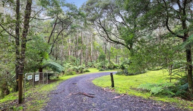 Cottage with best views