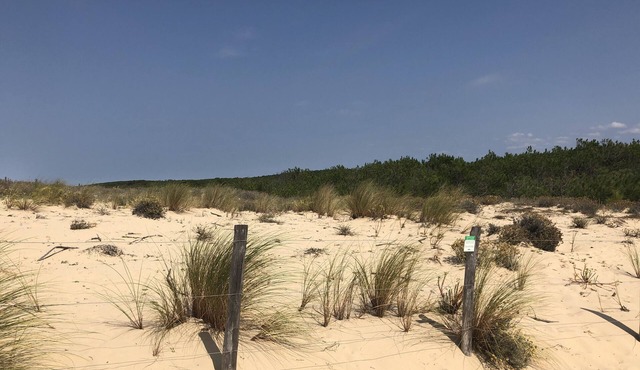 Cottage with heated pool in a quiet forest setting