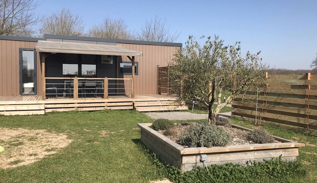 Cottage with pony near puy du fou