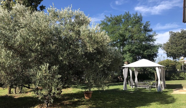 Cottage with Pool, Fenced Garden – Pets Welcome