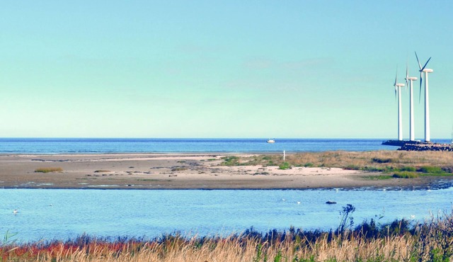 Cottage with swimming pool on a quiet road bordering a nature reserve near Bønnerup Strand.