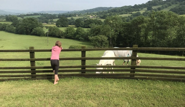 CottageOnFarmAndStablesEDevon,PicturesqueViews,NrJurassicCoast-CouplesDiscounts