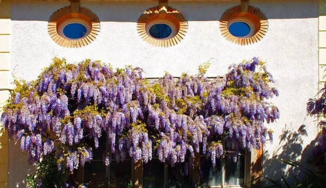 Country Cottage / Gite - Saint-Nicolas-de-la-Grave