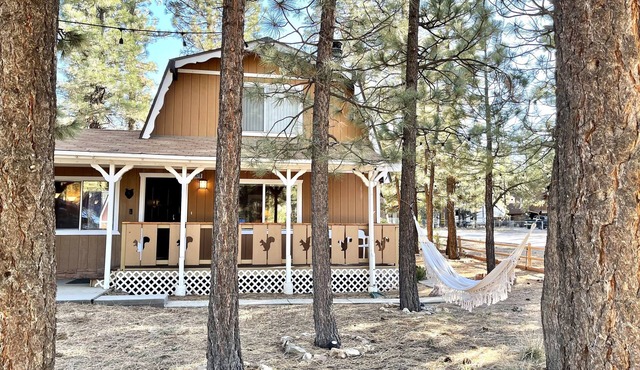 Country Bear Cabin - 10 miles from Big Bear Lake!