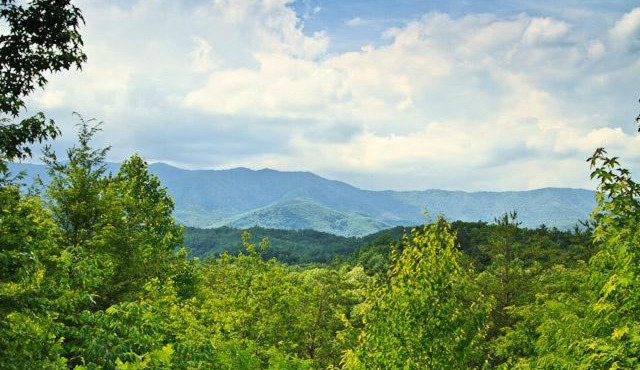 Country Bear Hideaway