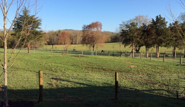 Country Bungalow close to Charlottesville, Wineries & Breweries