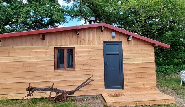 Country cottage surrounded by horses, sheep and rabbits