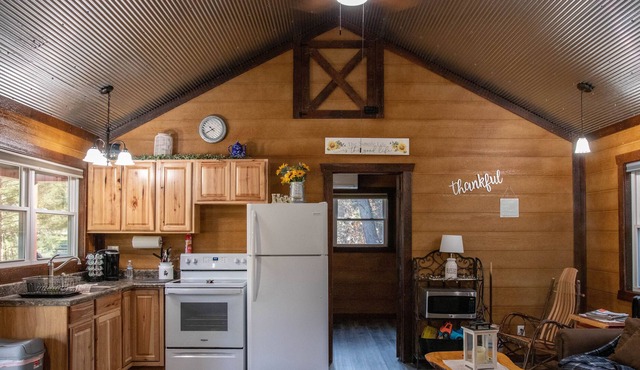 Country Cabin | 3 Bed, 1 Bath