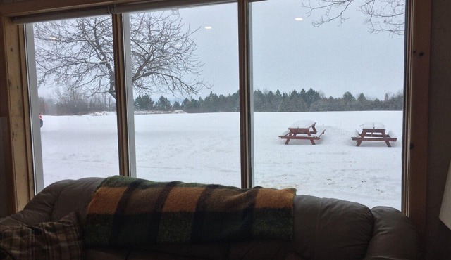 Country Cabin Escape | King Bed | Pet Friendly