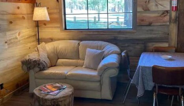 Country cabin getaway for a crowd in the pines of Alpine AZ