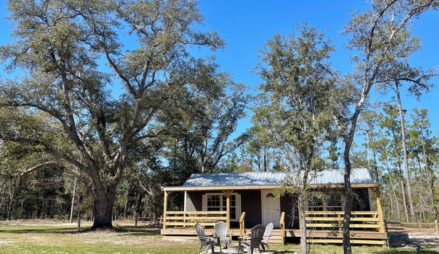 Country Cabin in Private Setting