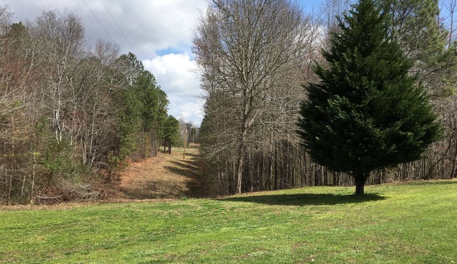 Country Cabin.We have cleaned the cabin top to bottom! Get out of the city!
