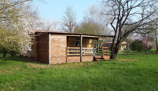 Country chalet 9 people: ponies, swimming pool, mini-golf & Puy du Fou