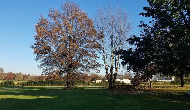 Country Charm Home on Golf Course in Historic Saxonburg, PA