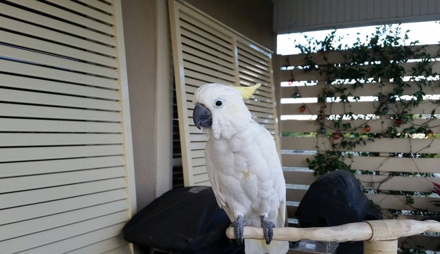 Country charm location on the Beautiful, quiet West End. Pet friendly and cozy!