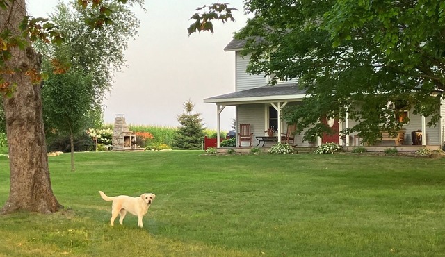 Country Chic, Hovde Home at Labrador Farm