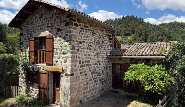 Country cottage 3 ears 'Les Sources' 9 pers (sleeps 12) in Arlempdes (43490)