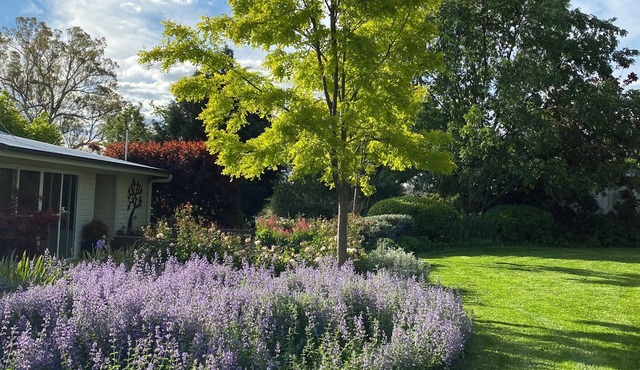 Country Cottage Farm Stay