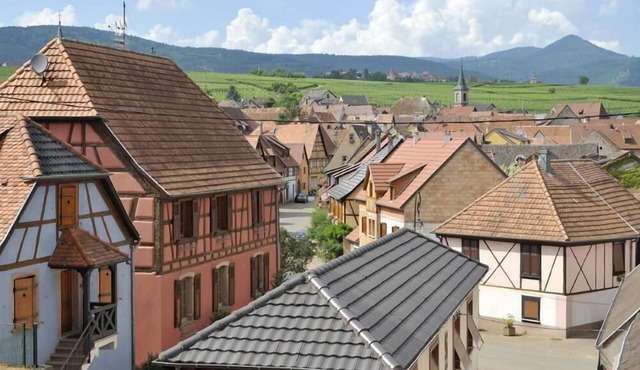 Country Cottage/Gite - BEBLENHEIM