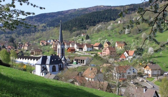 Country Cottage/Gite - Sondernach