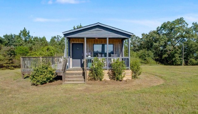 Country Cottage in Aiken, pet friendly!