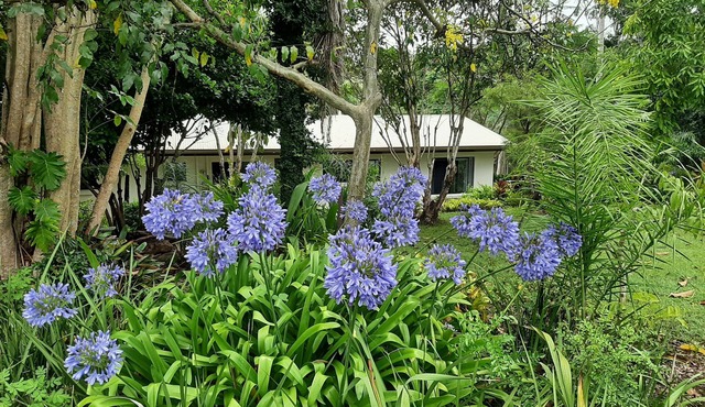 Country Cottage in Imbil (Mary Valley)