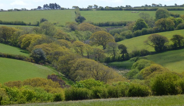 Country cottage near Boscastle, Situated amid the beautiful Cornish Countryside
