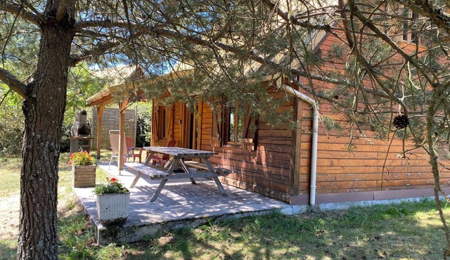 Country cottage set in wooded grounds with large indoor pool.