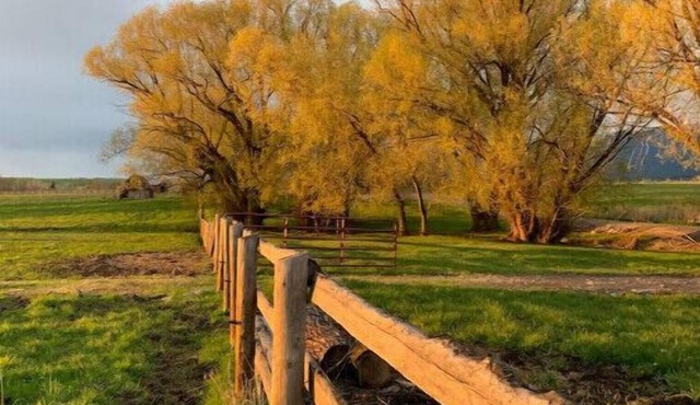 Country Cottage with woodfired sauna